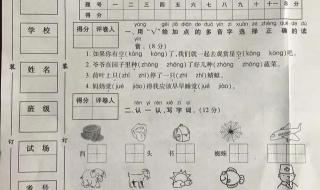5年级下册语文期末试卷