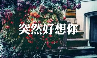 突然好想你你会在哪里