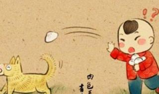 狗不理包子和狗有关系吗
