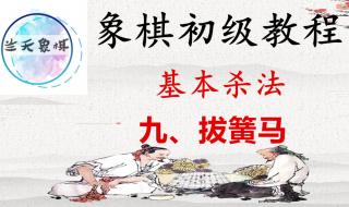 象棋入门教程从零开始