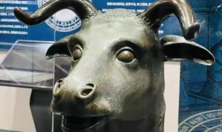 五兽首首次齐聚圆明园