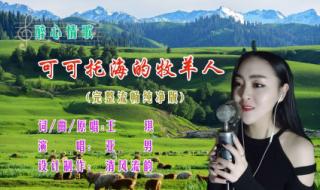 亚男可可托海的牧羊人