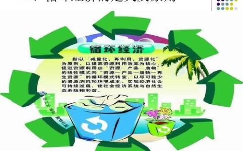 循环经济（废弃物资源化）（循环经济的废物管理模式）
