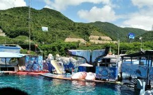 小梅沙海洋世界可以停车吗 小梅沙海洋世界好玩吗