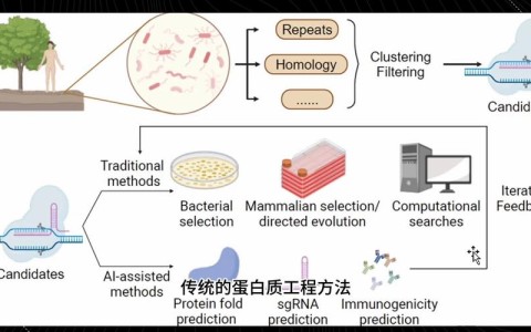 生物科技突破（基因编辑临床应用）（生物基因编辑技术的成果）
