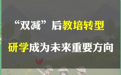 双减政策（教培转型）（教培双减政策文件）