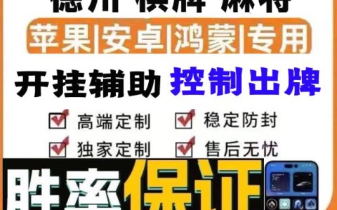 我来教你“双扣辅助器”最新辅助详细教程