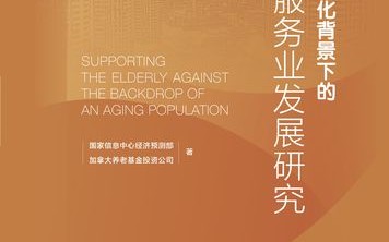 人口老龄化（养老服务体系改革）（人口老龄化背景下的养老服务业发展研究）