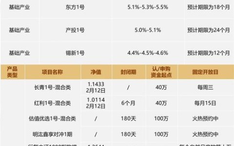 财富管理转型（净值化产品普及）（什么是财富净值）