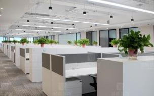 上海十大律师事务所排名,上海律师事务所哪家好 正规律师事务所去哪找