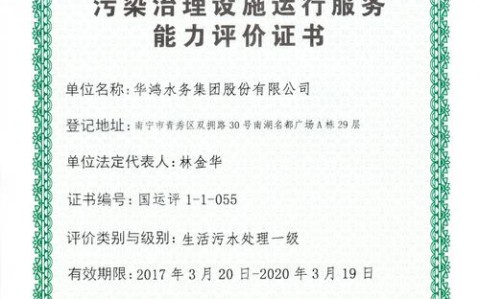 环境污染治理（环境污染治理设施运营资质）