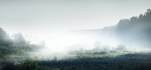 大s为什么嫁给具俊晔 大s具俊晔承认已怀三胎