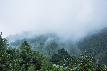 孽爱夺情结局 夺情孽爱巴基斯坦剧