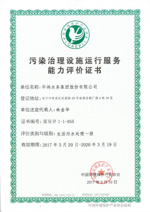 环境污染治理（环境污染治理设施运营资质）