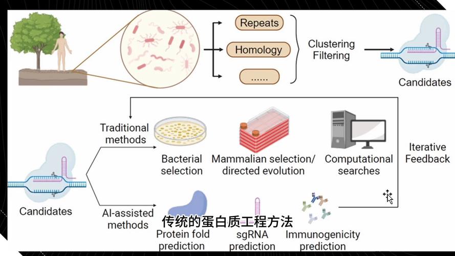 生物科技突破（基因编辑临床应用）（生物基因编辑技术的成果）